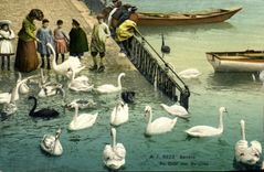 VINTAGE POSTCARD Geneva With the Quay of Bergues Swans
