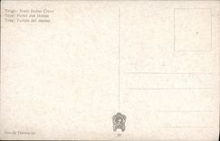 VINTAGE POSTCARD Trau Gate of the domes