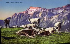 CPA Abend auf der Alp Vaches 