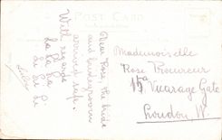 CPA Lily gardens Kew gardens 