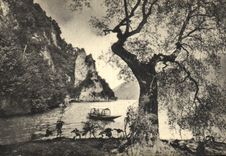 POSTAL Sasso di Gandria de la VENDIMIA