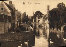 VINTAGE POSTCARD Bruges Qual Green Swans
