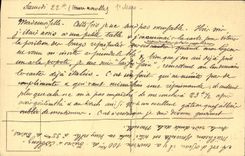 VINTAGE POSTCARD Die Mosel Schloss Veldenz EIB Muiheim Mosel