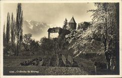 CPA Chateau de Blonay