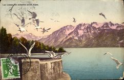 CPA Lac Leman les Mouettes et les Alpes