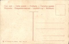 VINTAGE POSTCARD Schioss Rheinstein