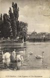 VINTAGE POSTCARD Geneva swans and L island Rousseau Swans