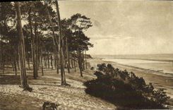VINTAGE POSTCARD the Gironde