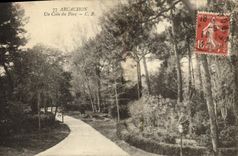 CPA Arcachon Un Coin du Parc