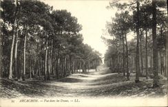 CPA Arcachon Vue dans les Dunes