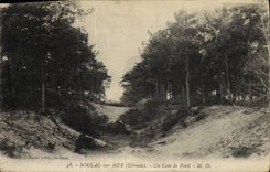 VINTAGE POSTCARD Soula on Sea a Corner of Drill