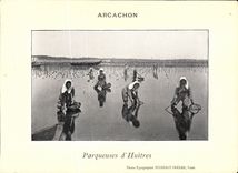 VINTAGE POSTCARD Soula on Sea parqueuses D oysters