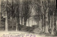 Bordes de la POSTAL de la VENDIMIA de rancio el vizconde Under Wood