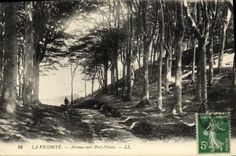 POSTAL de la VENDIMIA el vizconde Avenue hacia el puerto de Nican