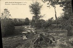 VINTAGE POSTCARD Drill of Paimpont Beauvais Way of the Valley without return