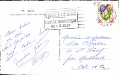 CPM Rennes Les Cygnes au Jardin des Plantes