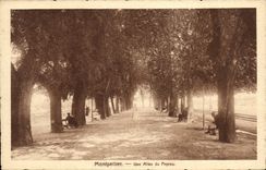 CPA Montpellier Une Allee du Peyrou