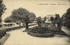 CPA Montpellier Esplanade Square Palavas