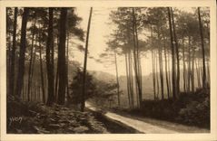 VINTAGE POSTCARD Soft France the Moors of Gascogne Route of Leon has Moliets