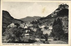 VINTAGE POSTCARD Saline les Bains View 2 Forts
