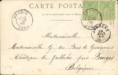 VINTAGE POSTCARD Boards close Alpine laburnum