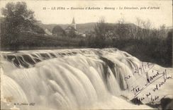 VINTAGE POSTCARD the Jura Surroundings D Mesnay Alpine laburnum Derochoir close D Alpine laburnum