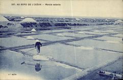 POSTAL de la VENDIMIA en el borde de L pantanos del agua salada del oceano