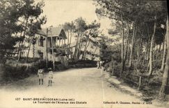 POSTAL Brevin santo L oceano de la VENDIMIA el torneado de L avenida de las cabanas del pais