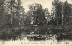 CPA Fontainebleau Mare aux Fees