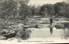 CPA Fontainebleau La Mare aux Fees