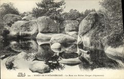 CPA Foret Fontainebleau La Mare aux biches Gorges d Apremont 