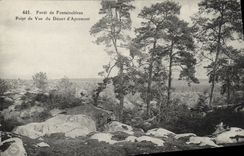 CPA Foret Fontainebleau Foret de Point de Vue du Desert d Apremont