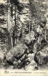 CPA Foret Fontainebleau Foret La Dame d Apremont