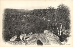 CPA Foret Fontainebleau Foret Les gorges de Franchard