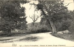 CPA Foret Fontainebleau Foret Dormoir de Lantara Gorges d Apremont 