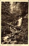 VINTAGE POSTCARD Natzwiller Cascades of Serva