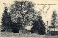 VINTAGE POSTCARD Worth S Mac Mahon Baum put Armeedenkmal