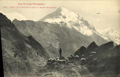 CPA Luz Un Troupeau Dans La Haute Montagne Berger et moutons