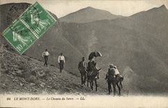 VINTAGE POSTCARD the Mount Gilds the Way of Sancy Ane Mule