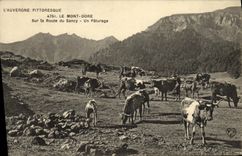 VINTAGE POSTCARD the Mount Gilds On the Road of Sancy a Pasture Cows