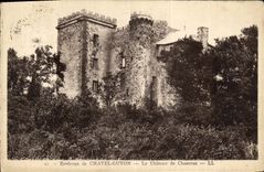 VINTAGE POSTCARD Surroundings of Chatelguyon the Castle of Chazeran