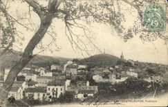 POSTAL Chatelguyon de la VENDIMIA