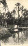 VINTAGE POSTCARD Gabes the Bridge of Palm tree in L Oasis