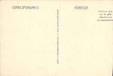 CPA Lac Leman Chateau de Chillon et la Dent du Midi