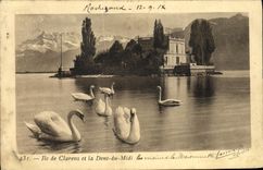 VINTAGE POSTCARD Island of Clarens and Dent du midi Swans