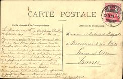 VINTAGE POSTCARD Island of Clarens and Dent du midi Swans