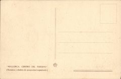 VINTAGE POSTCARD Mallorca Series Vll Palma Claustro of San Francisco