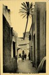 VINTAGE POSTCARD Tangier Palm tree of Aissaouas