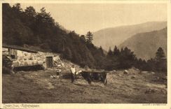 VINTAGE POSTCARD Teibelthal Rothenbach