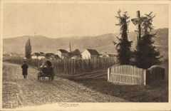 POSTAL Wettolsheim de la VENDIMIA